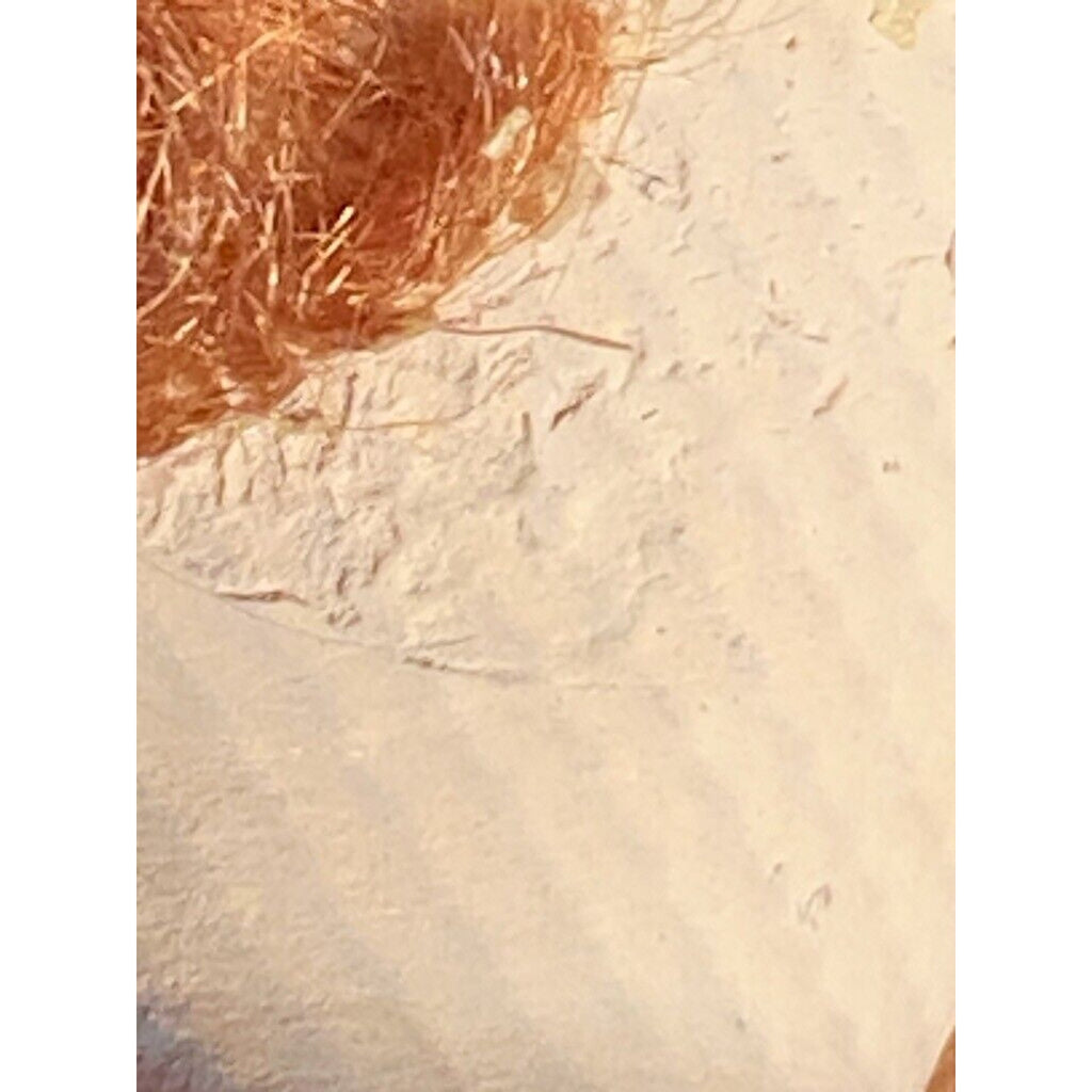 Antique Paper Mache Boudoir Pin Cushion Half Doll Red Head Human Hair German Boudoir