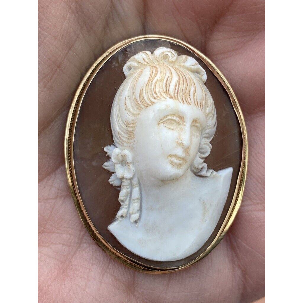 VTG 1800s 14K Gold Cameo Brooch & Earrings Set Grand Tour Roman Classical Beauty Unbranded