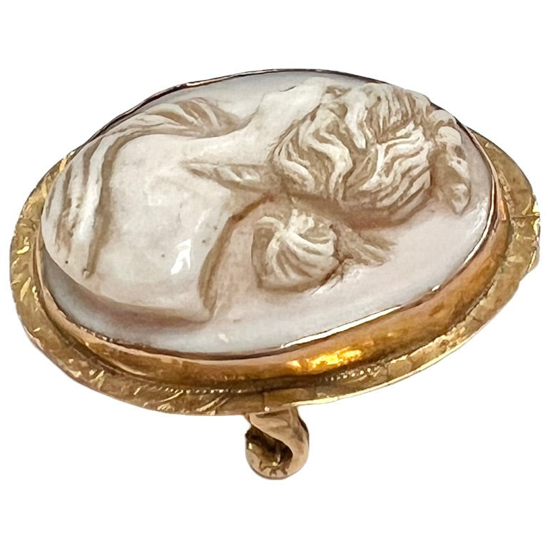 Victorian Shell Cameo Brooch/Pendant Womens Head Profile In 10K Gold Frame Jewelry The Best Vintage Clothing