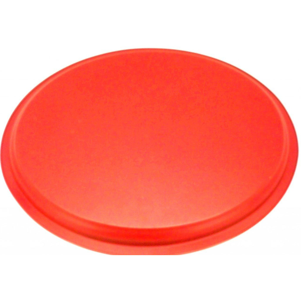 Vintage Tole Painted Tray Large & Red 1950s Collectibles,On Sale The Best Vintage Clothing