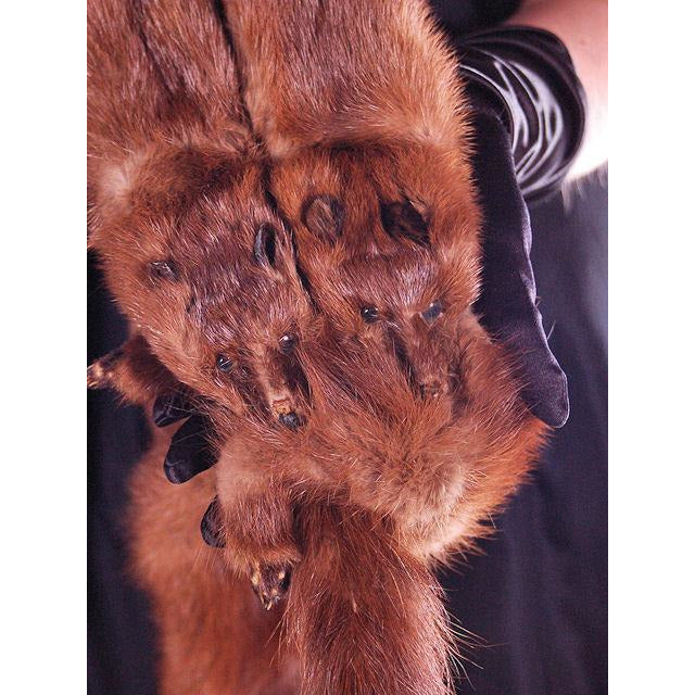 Vintage Stone Marten Fur Wrap 1930S Celluloid Chain Women's The Best Vintage Clothing