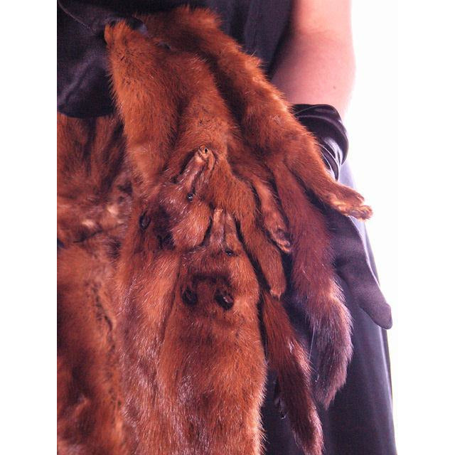 Vintage Stone Marten Fur Wrap 1930S Celluloid Chain Women's The Best Vintage Clothing