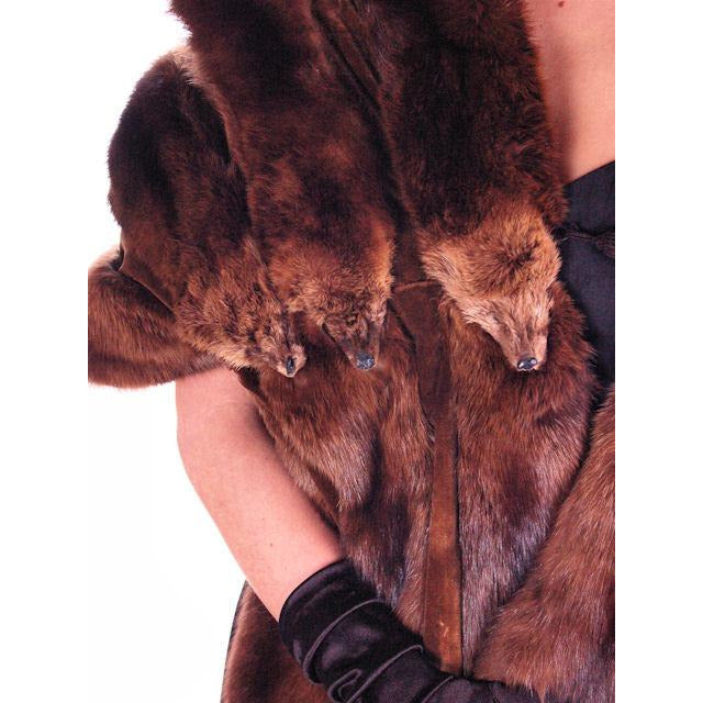 VTG 1950s Ranch Mink Fur Stole Wrap 14 Skin Dark Brown Hollywood Glam Provenance Women's The Best Vintage Clothing