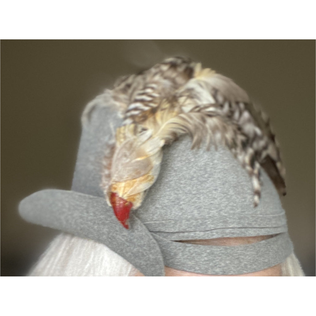 Vintage 1930s Knox Cloche Hat Bird Head Pheasant Feathers Gray Felt XS Sherlock The Best Vintage Clothing