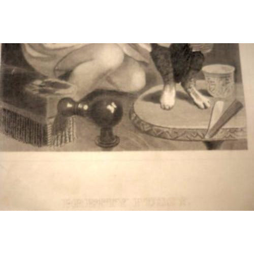 Antique Cat and Girl Hand Drawn Lithograph Collectibles The Best Vintage Clothing