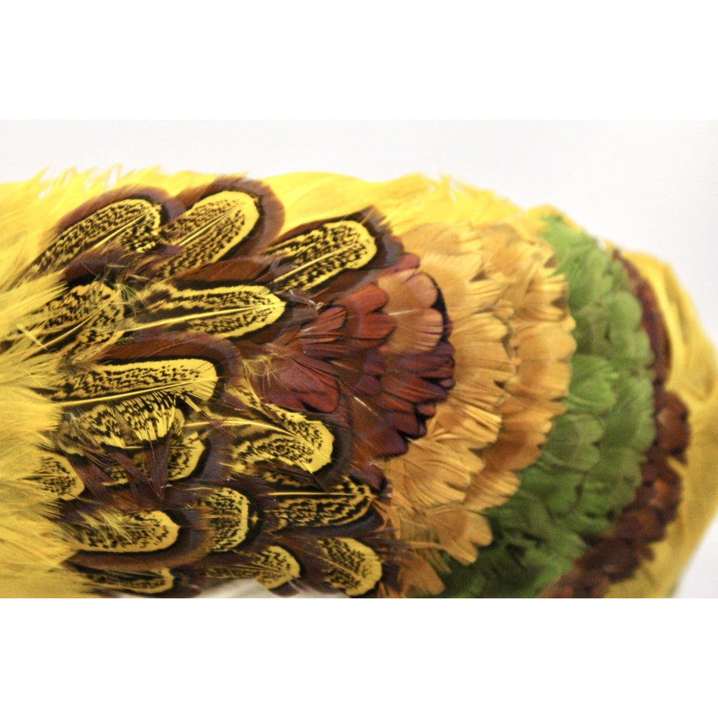 Vintage Womens Feather Pheasant Hat Stunning Gold Breton 21" 1950s Marvelous Maisel The Best Vintage Clothing