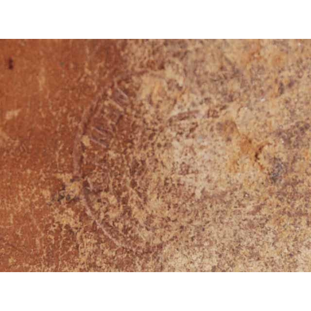 Vintage Brown Leather Ladies Tall Laceup Boots S 7-7.5 Edwardian-1920 Women's,Shoes,On Sale vendor-unknown