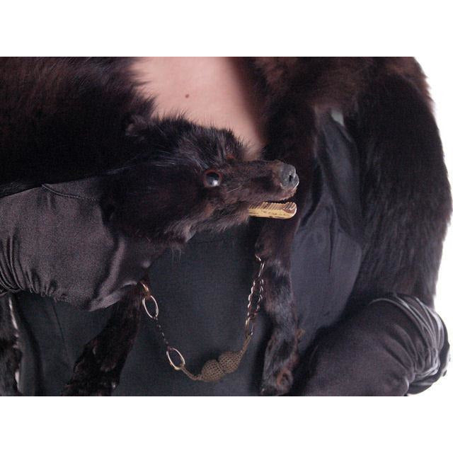 Vintage Dark Brown Full Fox Fur Wrap/Scarf 1930S Celluloid Clip Women's The Best Vintage Clothing